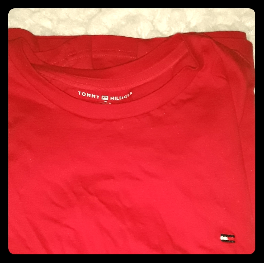 Mens tommy hilfiget t-shirt